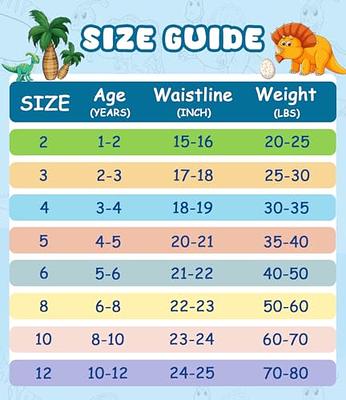 Toddler Boys Underwear Bottoms (Sizes 2T-4T) Underwear & Socks