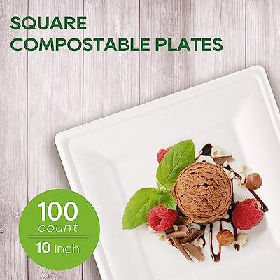 bUCLA 150pcs 10 Inch Paper Plates Heavy Duty Biodegradable Plates 100%  Compostable - Eco-Friendly Disposable White Paper Plates Made of Natural