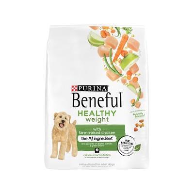 Healthy Select Papaya Bits Treats for Large Birds, 6 oz.