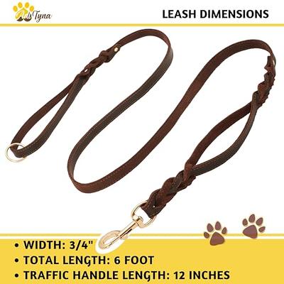 Heavy Duty Dog Leash - 2 Handles by Padded Traffic Handle for Extra  Control, 6foot Long - Perfect for Medium to Large Dogs (6 ft, Black)