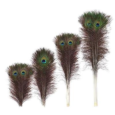 NEWONG 40pcs Peacock Feathers Long 40-45inch Bulk Natural Feathers for Vase  Craft Weddings Home Parties Christmas Decorations - Yahoo Shopping