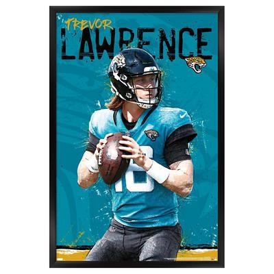 Carolina Panthers 22.4'' x 34'' Magnetic Framed Helmet Poster