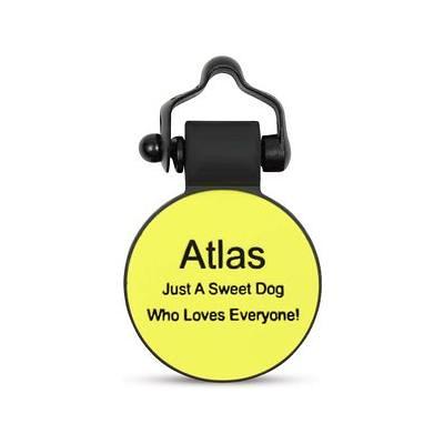 Quick-Tag MLB Circle Personalized Dog & Cat ID Tag, Large, Oakland A's