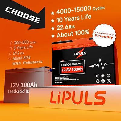 12V 100Ah LiFePO4 Battery, Built-in 100A BMS, Max.1280Wh Lithium Iron  Phosphate Battery with Up to 15000 Cycles & 10 Years Lifespan for RV,  Camper