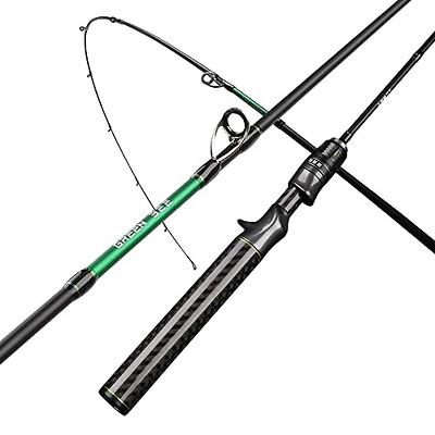 TAIGEK fishing pole trout rod spinning rod baitcasting rod casting