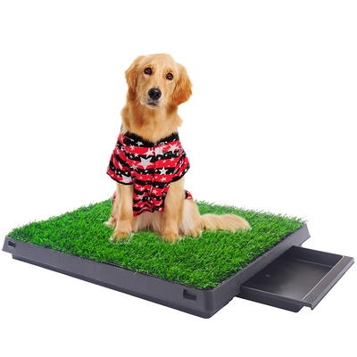 Backyard Dog Agility Course, Artificial Turf for Dogs