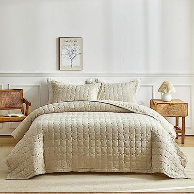 WDCOZY Beige Queen Size Quilt Bedding Sets with Pillow Shams, Cream Tan  Lightweight Soft Bedspread Coverlet, Quilted Blanket Thin Comforter Bed  Cover