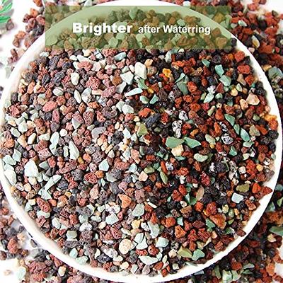 Granule Silica Sand - 10LB- Gravel for Plants - Horticultural Sand - Small  Sharp rocks for Plants Bonsai Cactus & Garden Sand Grit - Terrarium and