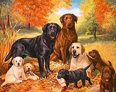 Happy Puppy Dog 5D Diamond Painting Kits Square Round Gems DIY Picture Wall  Art