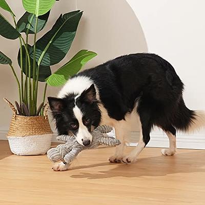 Lovely Plush Pet Dog Toy Bones Daily Fun and Teeth Clean Dog Entertainment  Funny Dog Squeaky Bone Toy For Pet Puppy Chew