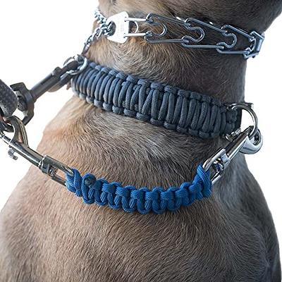 Dog Collar Safety Leash for Prong Collar Back Up Strap Clip (Blue) - Yahoo  Shopping