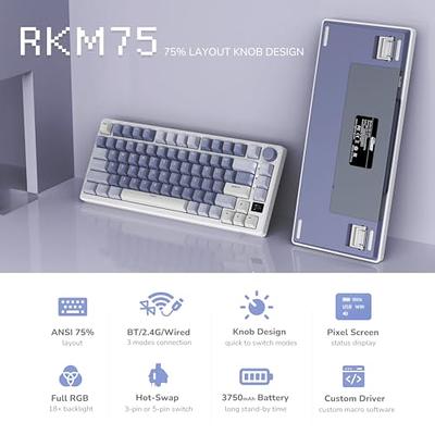  RK ROYAL KLUDGE RK61 Wireless 60% Triple Mode BT5.0/2.4G/USB-C  Mechanical Keyboard, 61 Keys BT Wireless Mechanical Keyboard, Compact  Gaming Keyboard with Software (Hot Swappable Blue Switch, White) : Video  Games