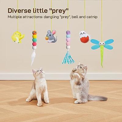 Potaroma Interactive Cat Feather Toys 6 Pcs, Cat Teaser Retractable,  Hanging Cat Toys Indoor Kitten Play Chase Exercise, Mental Physical  Stimulation for All Breeds and Species - Yahoo Shopping