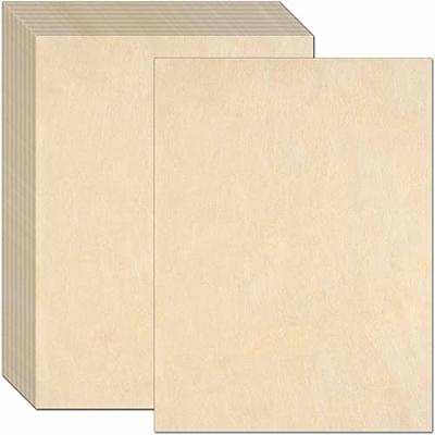 Gold Border Blank Certificate Paper - 100 Pack - 8.5 x 11 Certificates for Printer Awards