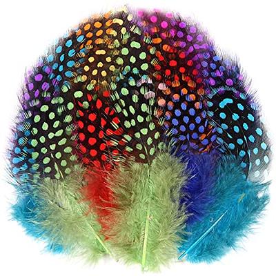 THARAHT 240pcs Mix Colour Spotted Small Natural Bulk Feathers 2-3