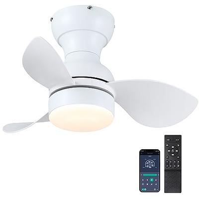  Dalouguan Ceiling Fan with Lights Remote Control, 24