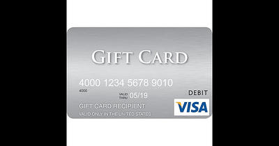 Visa® $300 Gift Card