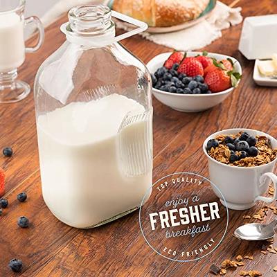 16oz Square Glass Milk Bottle – Kitchentoolz