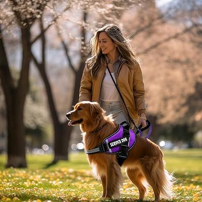 Bcadem Service Dog Vest, 9 Dog Patches No Pull Dog Harness and Leash Set  with Handle