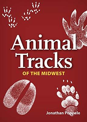 Animal Tracks of the Northwest -NEW