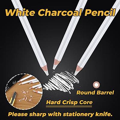 White Charcoal Pencils Drawing Set, Professional 5 Pieces White Sketch  Pencils for Drawing, Sketching, Shading, Blending, White Chalk Pencils for  Beginners & Artists