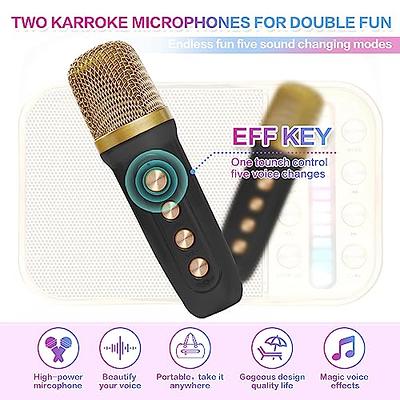 Karaoke Bluetooth Microphone with Speaker Magic Voices, Record Function,  Handheld Wireless Microphone for Kids Party KTV Gifts