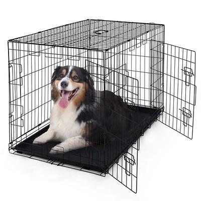 MidWest Homes for Pets XL Dog Crate | MidWest Life Stages Double Door  Folding Metal Dog Crate | Divider Panel, Floor Protecting Feet, Leak-Proof  Dog