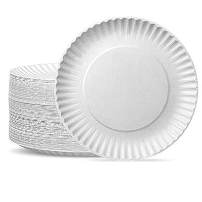 Bestree Paper Plates 10 inch bulk Large Paper Plates Heavy Duty,100 count  Dinner Plates Everyday Paper Plates for Daily Use (10 /100PCS)
