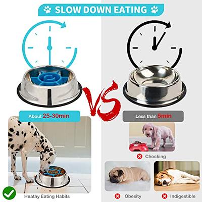 Dual S Feeder - Food And Water Maze Interactive Bowl For Pets - Ideal For  Small To Medium Dogs, Puppies, Cats - Removable Stainless Steel Bowl - No