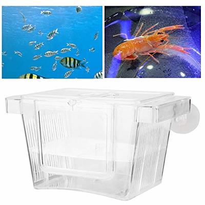 Ludlz Fish Breeding Box Aquarium Fish Tank Hatchery Incubator