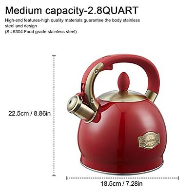 ELITRA Stove Top Whistling Fancy Tea Kettle - Stainless Steel 2.7