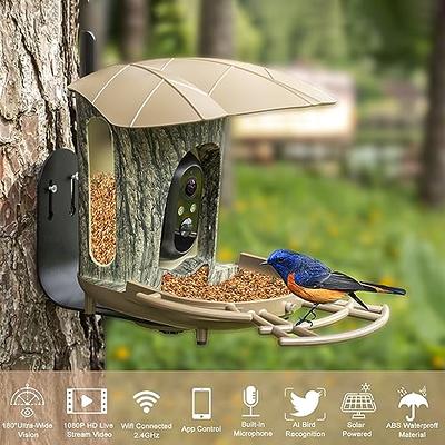 Solar Powered Garden Bird Feeder Camera with Real-Time Alarm Monitoring