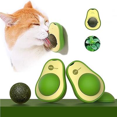 All for Paws Interactive Puzzle Cat Feeder Toys Brain Stimulation Toys Slow  Feeder for Indoor Cats with a Catnip Ball a LED Ball