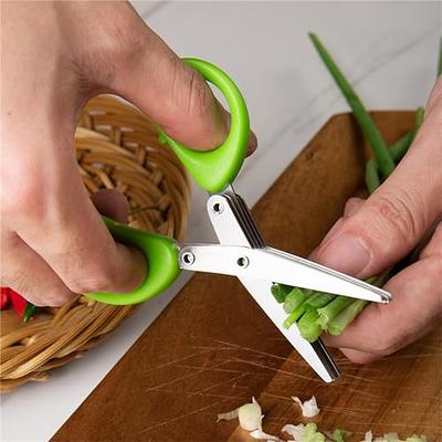 Stainless Steel Multi-layer Scissor