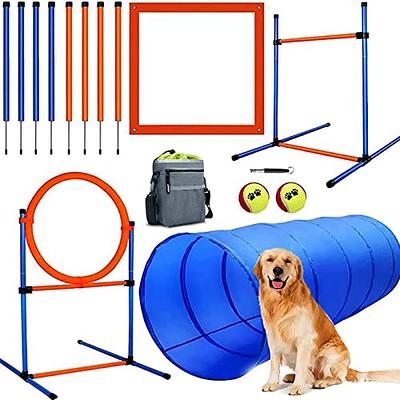 Chew King Novice Dog Park Agility Course Kit