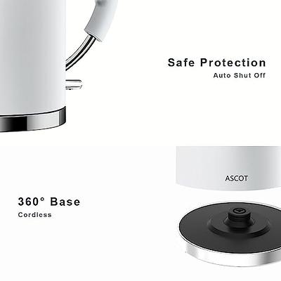 ASCOT Stainless Steel Electric Tea Kettle Review 