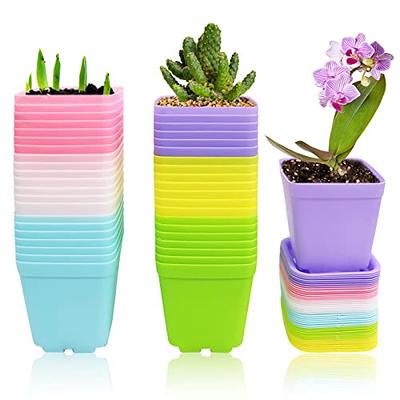 YNNICO 6 inch Plant Pots, 5 Pack Flower Pots Outdoor Indoor, Planters with  Drainage Hole and Tray Saucer