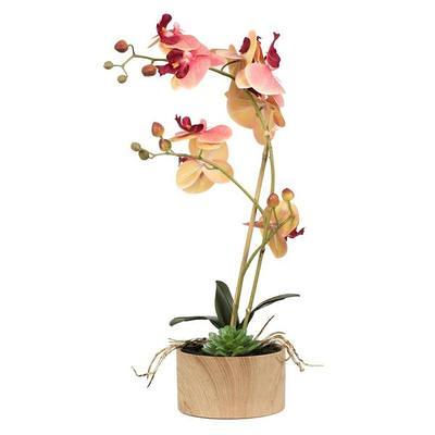 Vickerman 604090 - 18 Pink/Orange Orchid Arrangement (FC190266) Home  Office Flowers in Pots Vases and Bowls - Yahoo Shopping