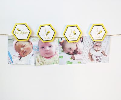 Bumble BEE Round Backdrop | Baby Shower Party Decoration Backdrop -  Designed, Printed and Shipped