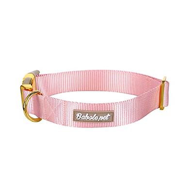 YOULY The Extrovert Water-Resistant Pink & Blue Colorblocked Dog Collar,  Small