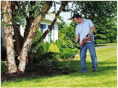 Black and Decker EASYFEED 20V MAX 12-in Straight Cordless String Trimmer &  Edger (LSTE525) LSTE525 from Black and Decker - Acme Tools