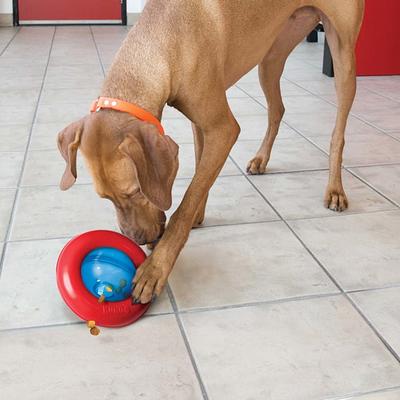 KONG Wobbler Food Dispensing Dog Toy, Small, Red - Yahoo Shopping