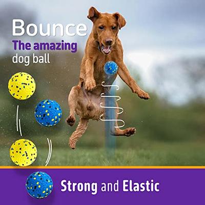 Dog Ball Toys Small Dogs Interactive Toy Elasticity Puppy Chew Toy