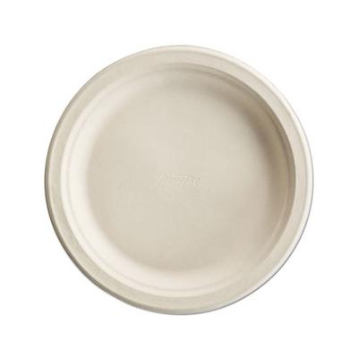 Chinet Classic Dinner Plates 10 3/8 Inch - 100 ct pkg