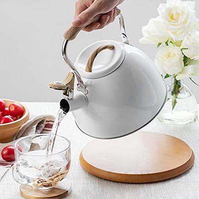 Tea Kettle Whistling Lid Opening Stovetop Water Boiling Pot Stainless  Steel, Matte 85 Oz 2.5 L Silver 