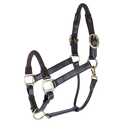 Nylon Horse Neoprene Padded Burgundy Adjustable Halter Brass