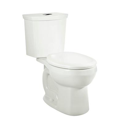 Project Source Pro-Flush Black Dual Flush Elongated Chair Height 2-piece  WaterSense Toilet 12-in Rough-In 1.1-GPF in the Toilets department at