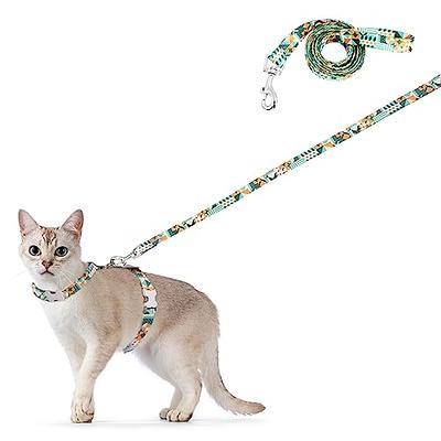 Whisker City Comfort Harness and Leash Cat Set, Adult, Size: Large | PetSmart