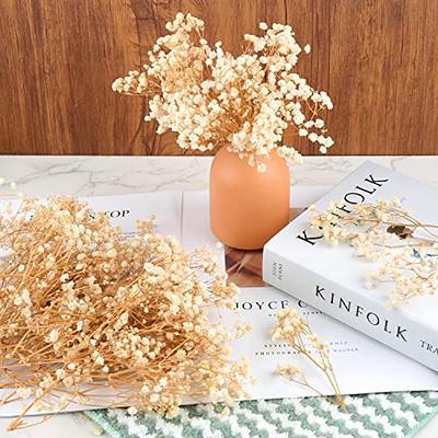 70Pcs Mini Dried Baby's Breath Flowers 4000+Natural Ivory White Bulk  Flowers Real Flowers Pressing Floral Dried Flowers Pressed Gypsophila  Bouquet for Hair Accessory Wedding Card Making - Yahoo Shopping