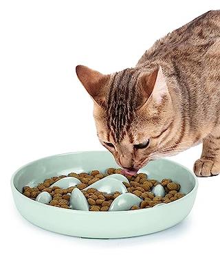 WHIPPY Slow Feeder Bowl for Small Medium Dog Fun Maze Feeder Dog Food Water  Bowl Anti-Slip Puzzle Bowl No Chocking Healthy Interactive Bloat Stop Dog